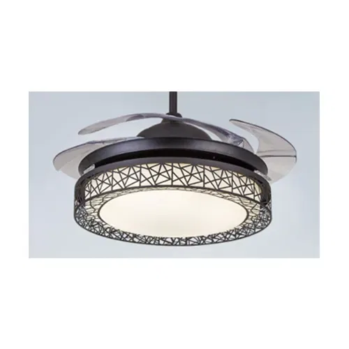 Lucia 4227 Fanaway Black 42