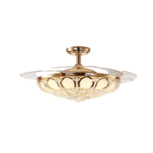 Lucia 4211 Fanaway Gold 42