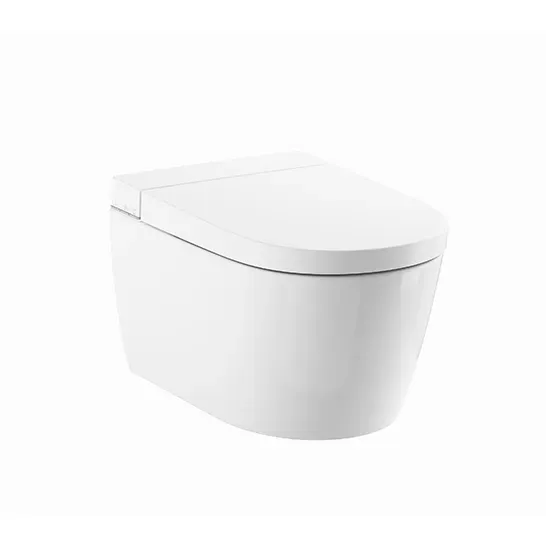 Roca Ona In-Flush Rimless Watercloset