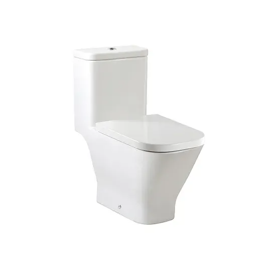 Roca The Gap 1-pc Rimless Watercloset Slow down Seat and Cover