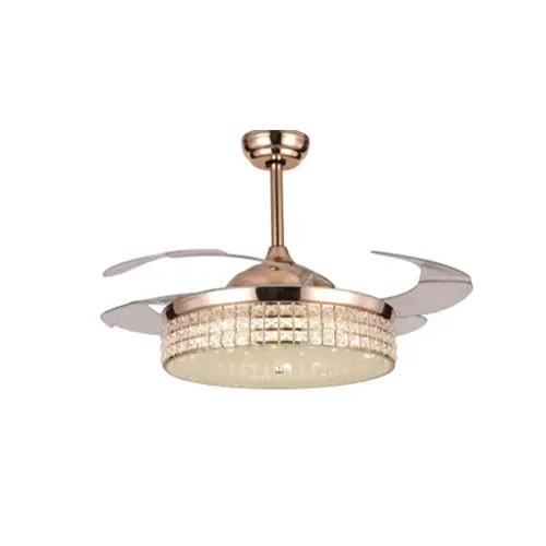 Lucia 4241 Fanaway Gold 42