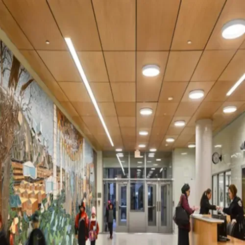 ADCO PVC CBV09 CEILING PANEL 8X250X2900MM